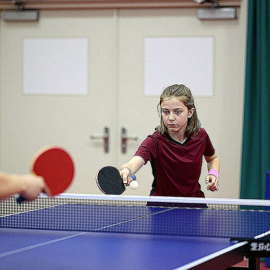 The Sediment Layer of Vietnamese Youth Table Tennis: What Lies Beneath the Medal Table? The Sediment Layer of Vietnamese Youth Table Tennis: What Lies Beneath the Medal Table?